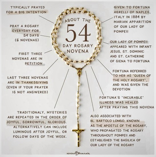 This infographic shows how to pray the 54-Day Rosary Novena.