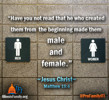 The Illinois Family Institute quotes the words of Jesus Christ from Matthew 19: 