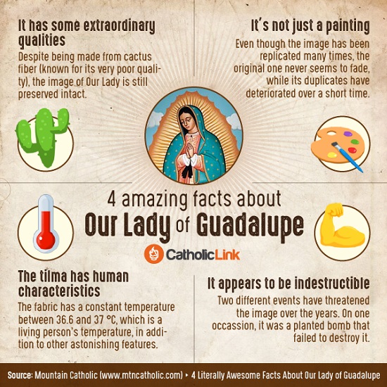 This infographic identifies four amazing facts about the supernatural Tilma of Our Lady of Guadalupe.