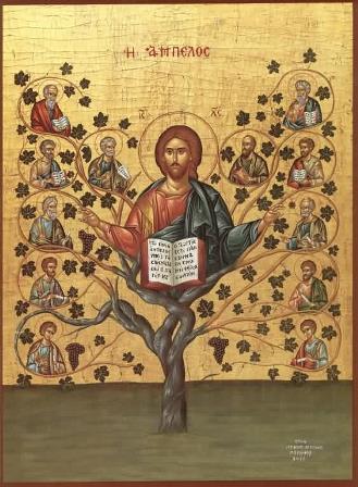In the Gospel of Saint John, Jesus Christ describes Himself as the vine and His disciples as the branches.