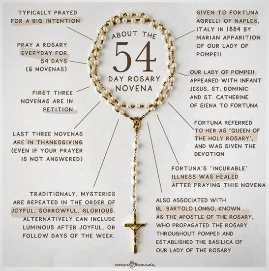 54 Day Rosary Novena 2024 Nonie Annabell